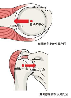 肩関節の仕組み